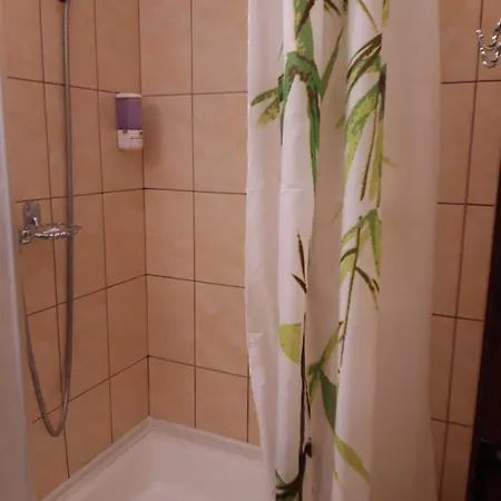 Pensjonat Casa Elisabeta 3*