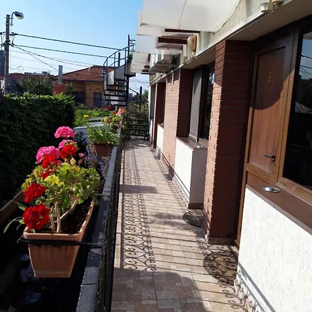 Casa Elisabeta Pensiune *