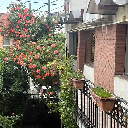 Casa Elisabeta Constanţa
