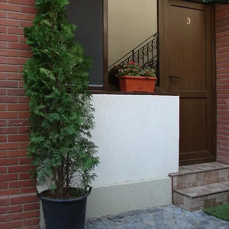 Pensiune Casa Elisabeta *